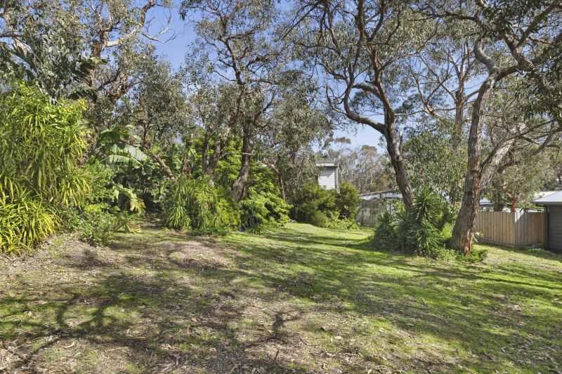 71 Fraser Avenue Anglesea VIC, Anglesea - Thumbnail 2