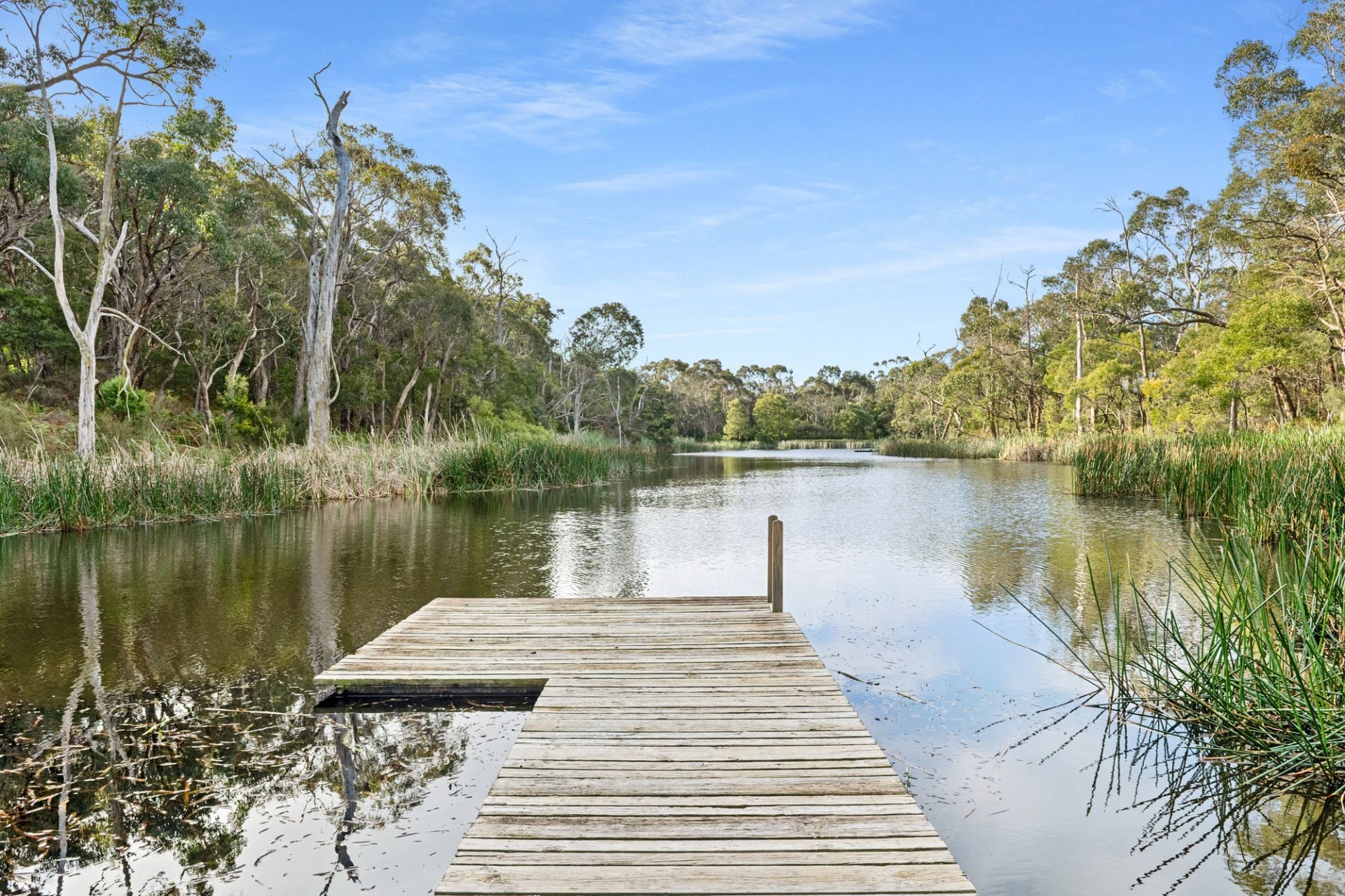 61 Bulldog Creek Road, Merricks North, Merricks North - Thumbnail 3
