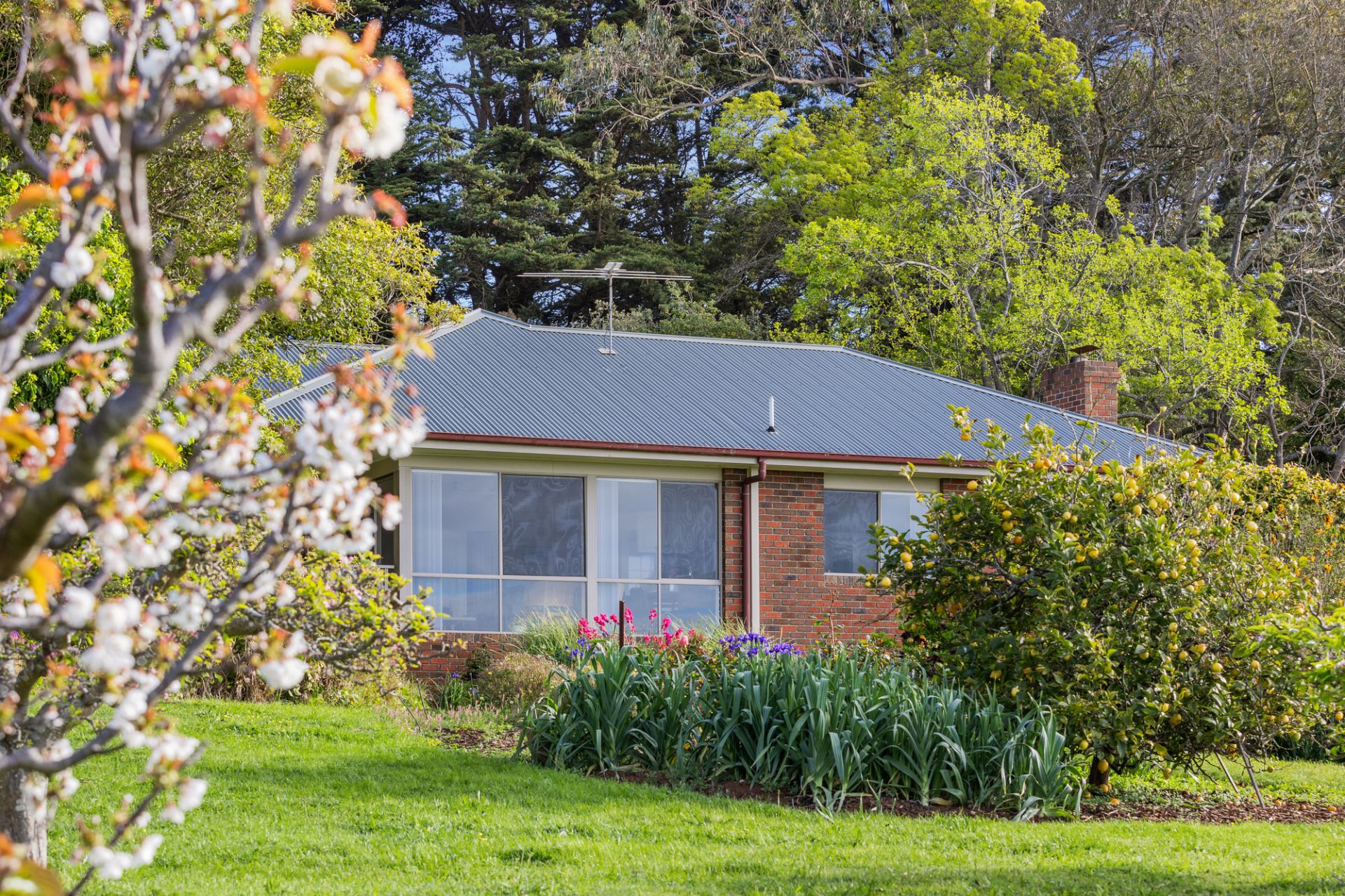 470 Arthurs Seat Road, Red Hill, Red Hill - Thumbnail 4