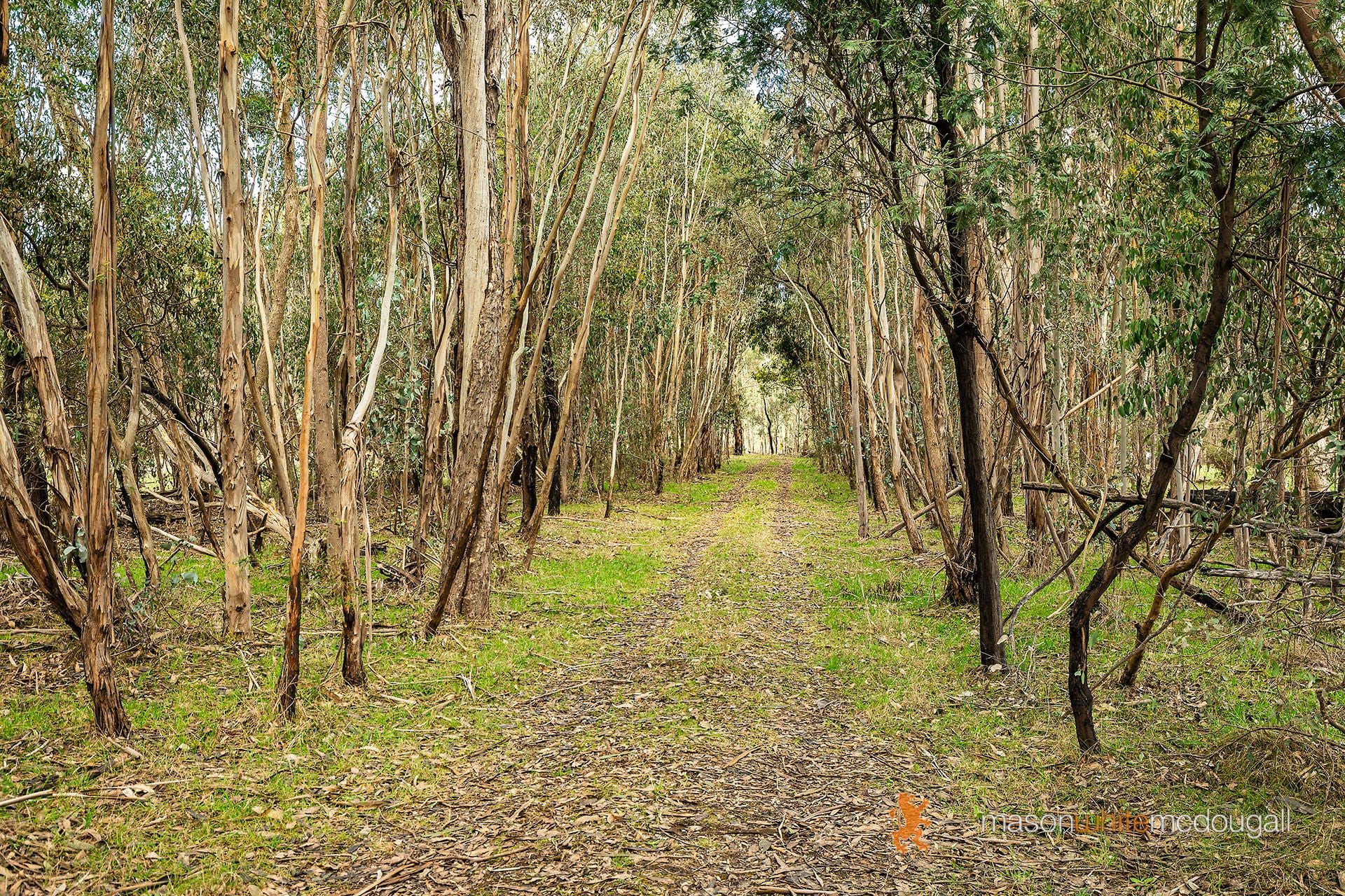3493 Whittlesea-Yea Road Flowerdale VIC, Flowerdale - Thumbnail 5