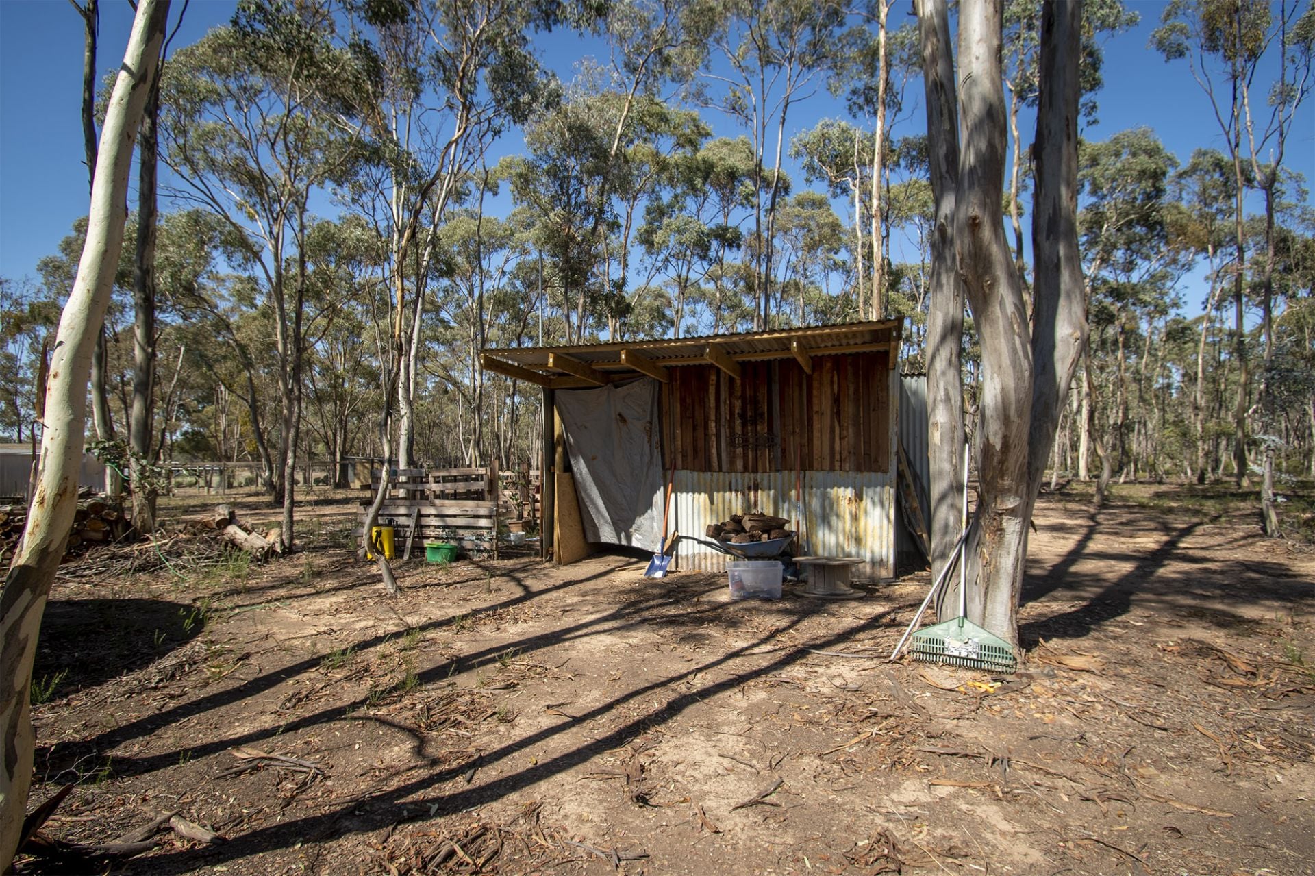 145 Scotts Road, Lillicur - Thumbnail 8
