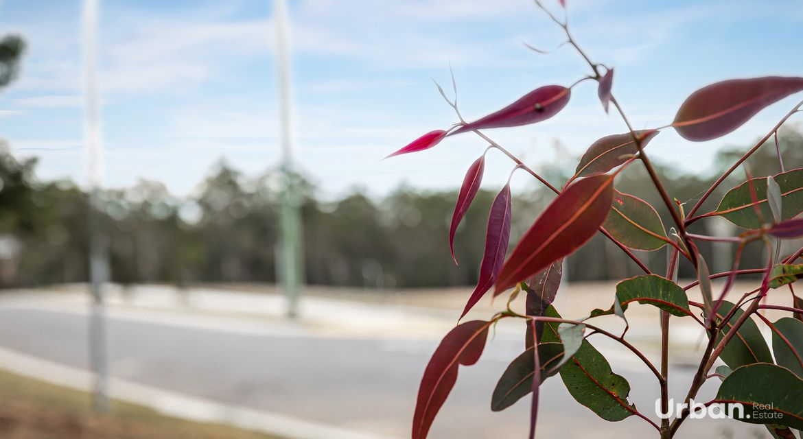 Silverdale 103/3 Myangarlie Crescent