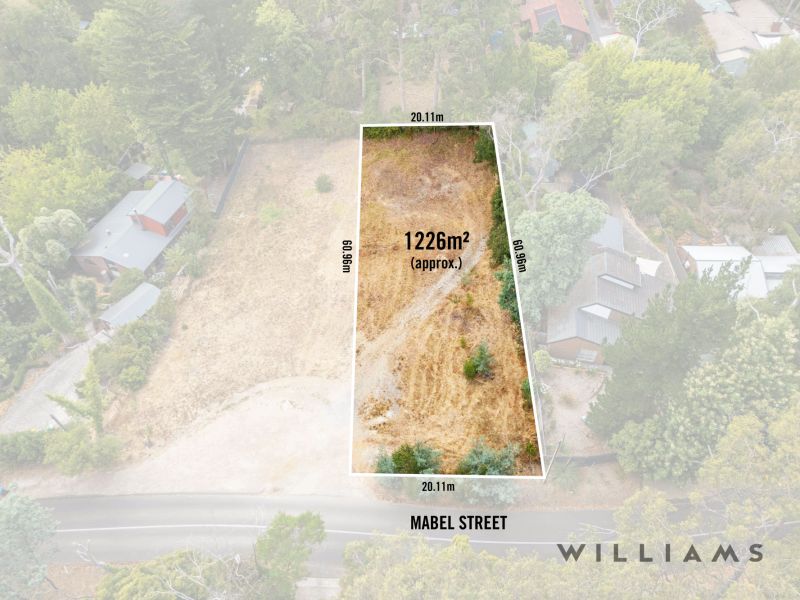 53 Mabel Street Stirling SA, Stirling - Image 1