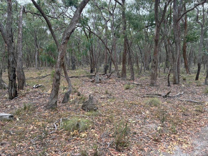1 Grampians View Road, Beaufort, Beaufort - Thumbnail 6