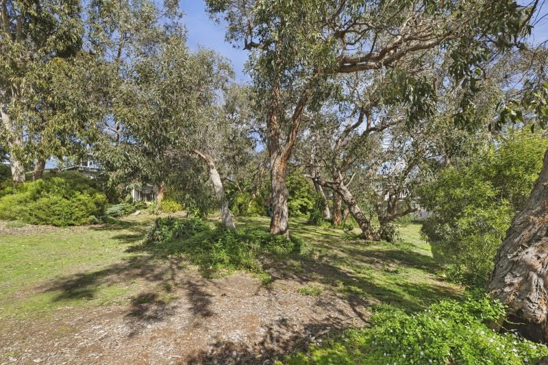 71 Fraser Avenue Anglesea VIC, Anglesea - Thumbnail 7