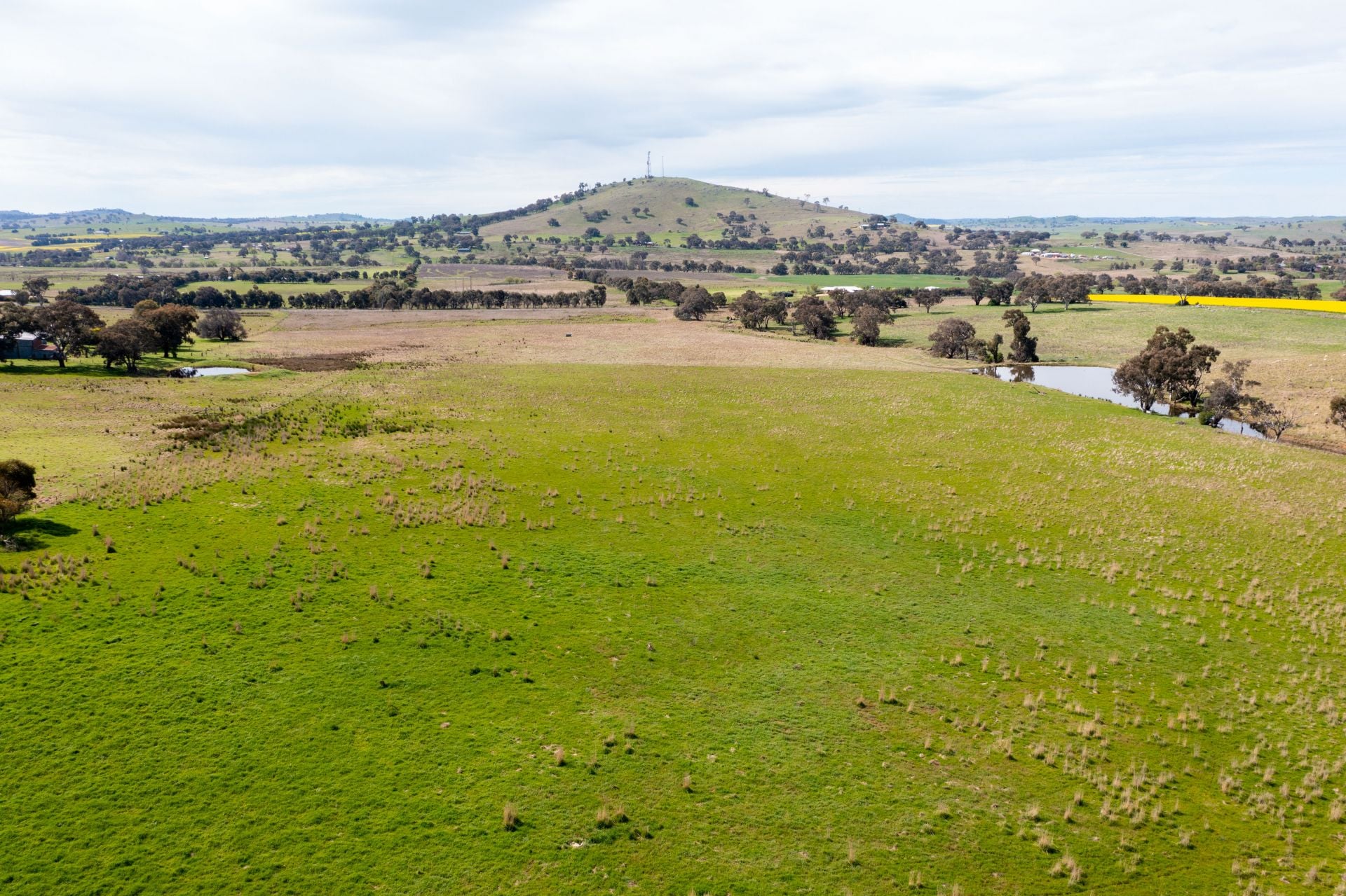 "Dots" 1887 Rye Park Road, Boorowa NSW, Boorowa - Thumbnail 7