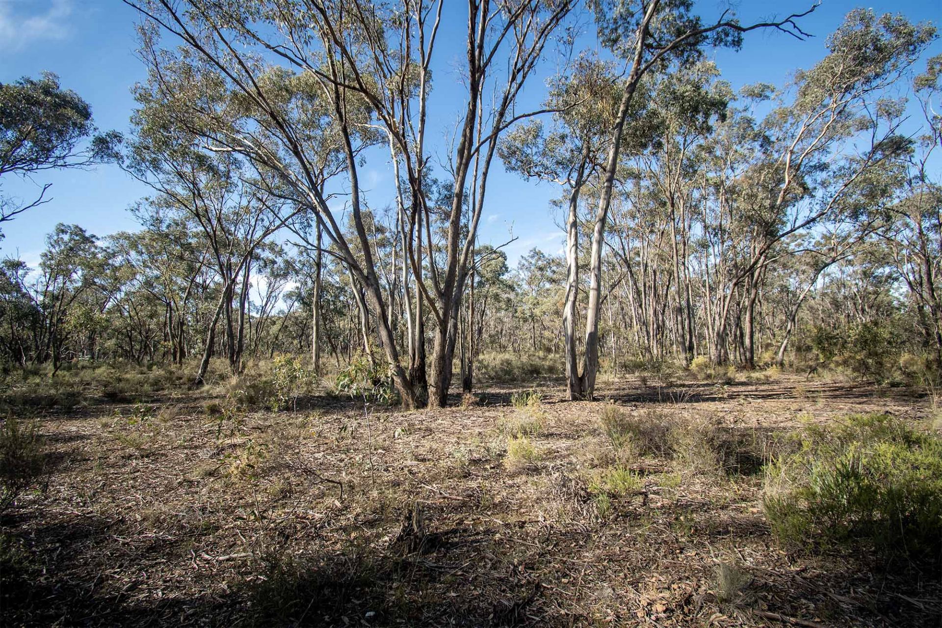 45 Lyle Lead Rd Moonlight Flat Via, Maryborough - Thumbnail 5