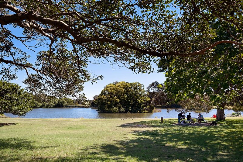 11/77-83 Cook Road Centennial Park NSW, 11/77-83 Cook Road Centennial Park - Thumbnail 7