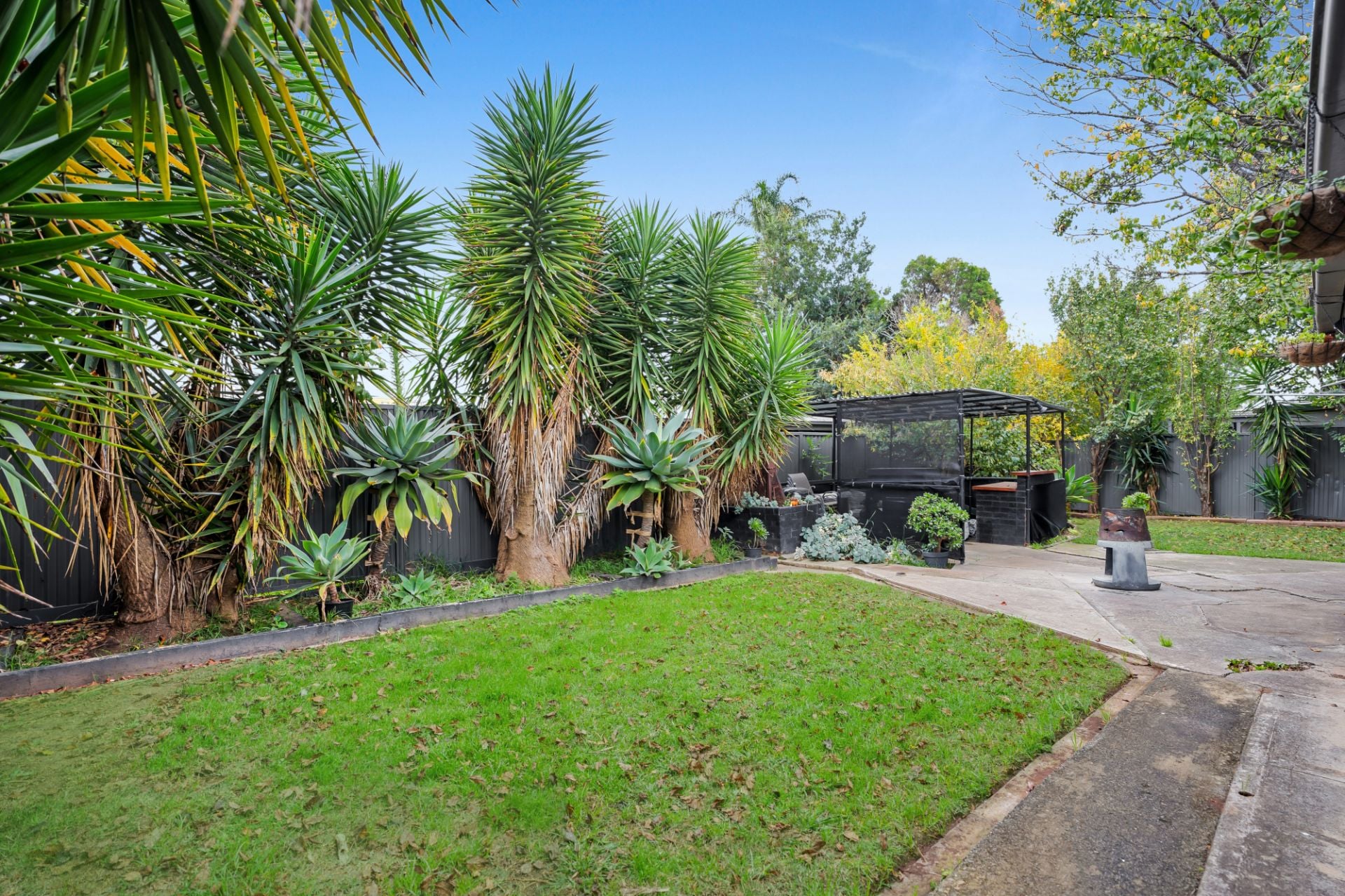 5 Dan Street, Campbelltown, Campbelltown - Thumbnail 2
