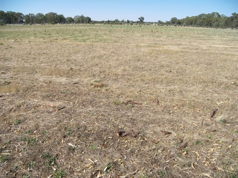 20/ Sharkeys Road Goornong VIC, Goornong - Thumbnail 3