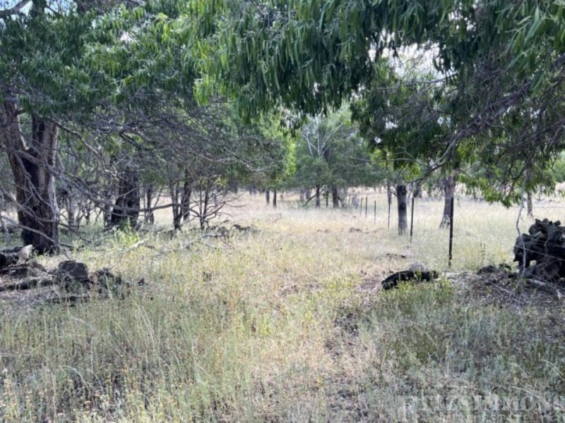 80 Coolibah Way, Dalby, Dalby - Thumbnail 4