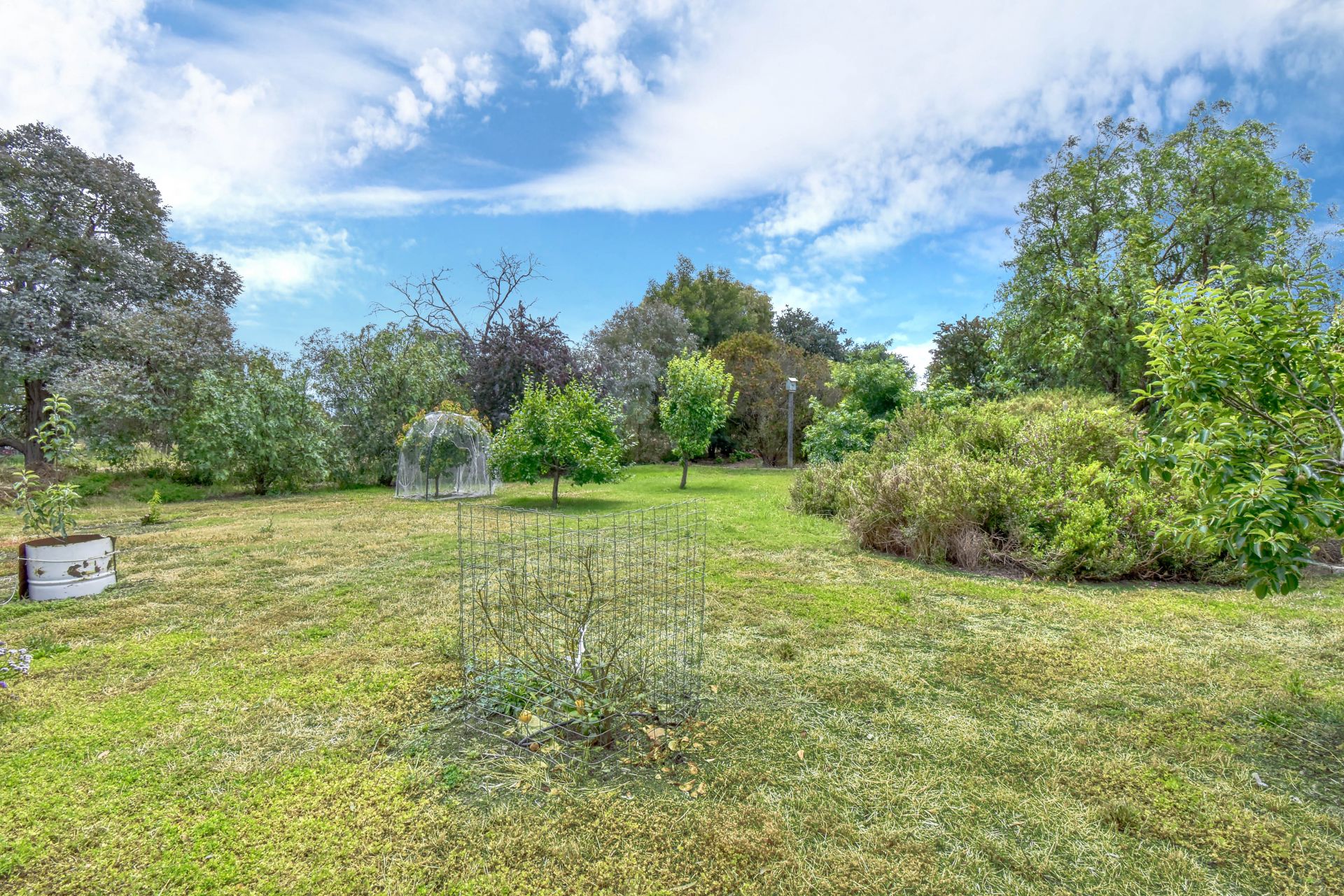 981 Bet Bet Creek Road, Bet Bet, Bet Bet - Image 1