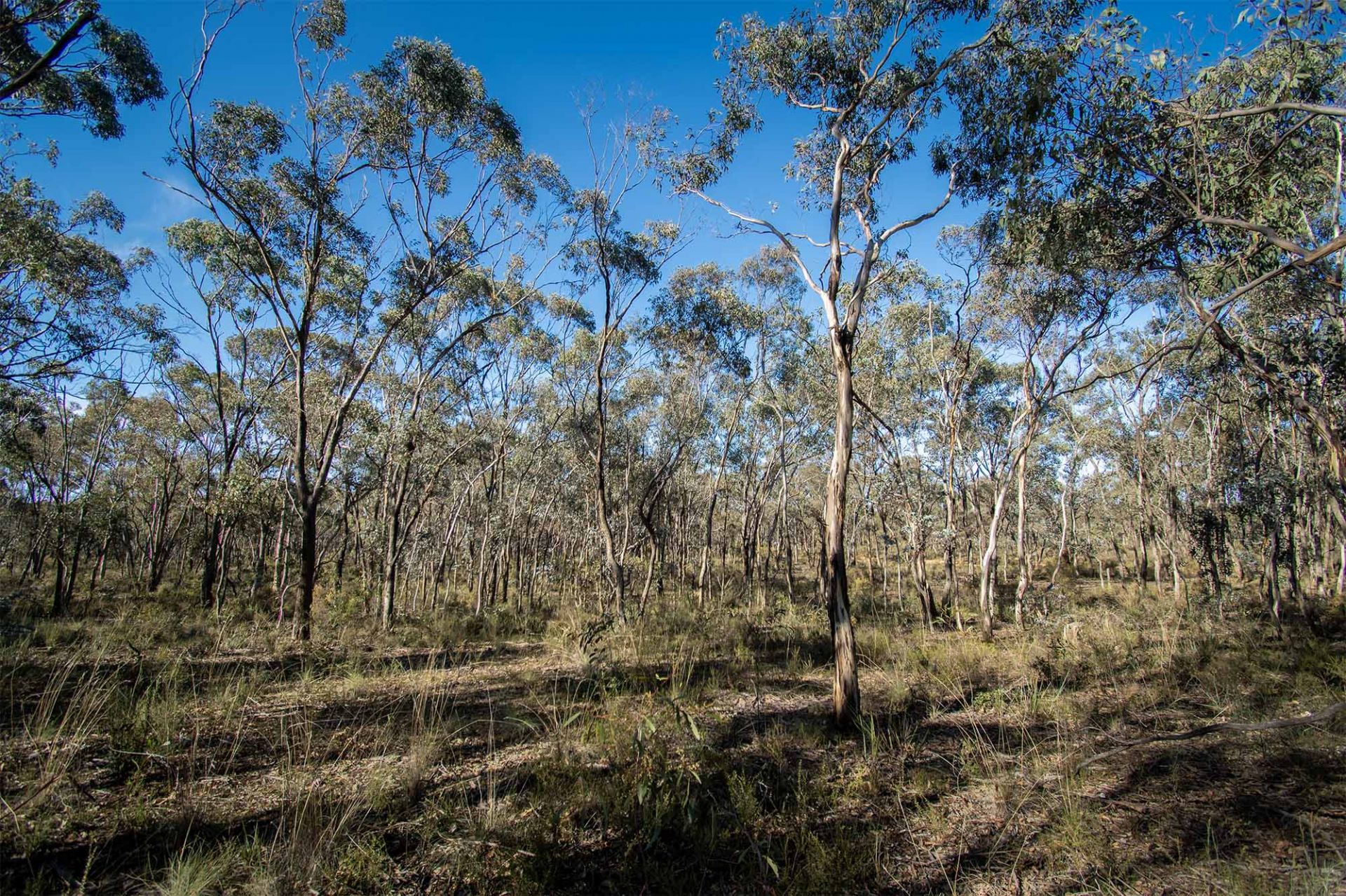 45 Lyle Lead Rd Moonlight Flat Via, Maryborough - Thumbnail 3