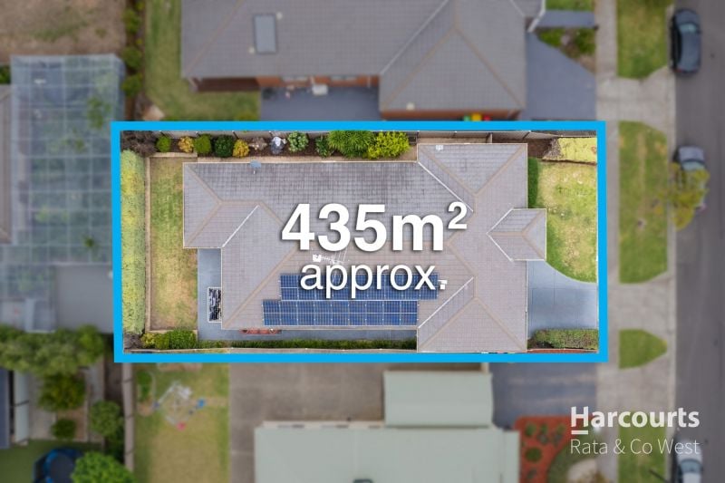 16 Wills Terrace, Burnside Heights