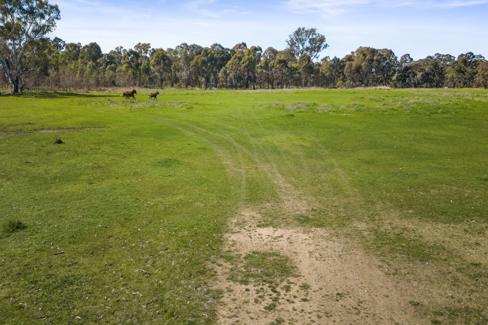 8/ Redpath Road, Avoca - Thumbnail 7