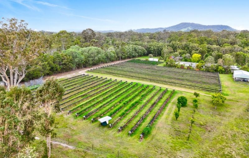 197 Stephan Road, Goomboorian For Sale by Farmbuy.com - image 29