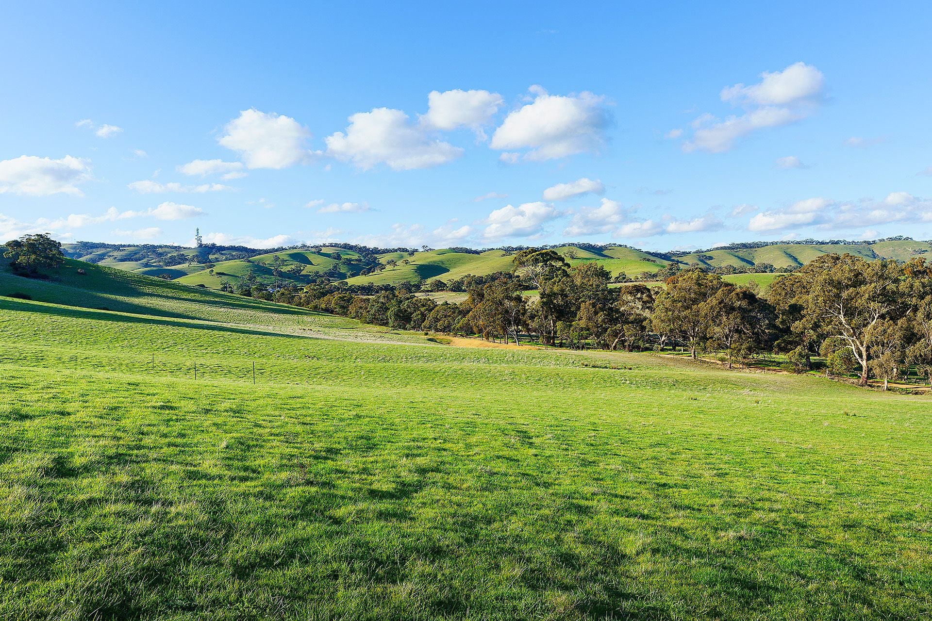Lot 55A/ Spring Lead Road, Norval VIC 3377