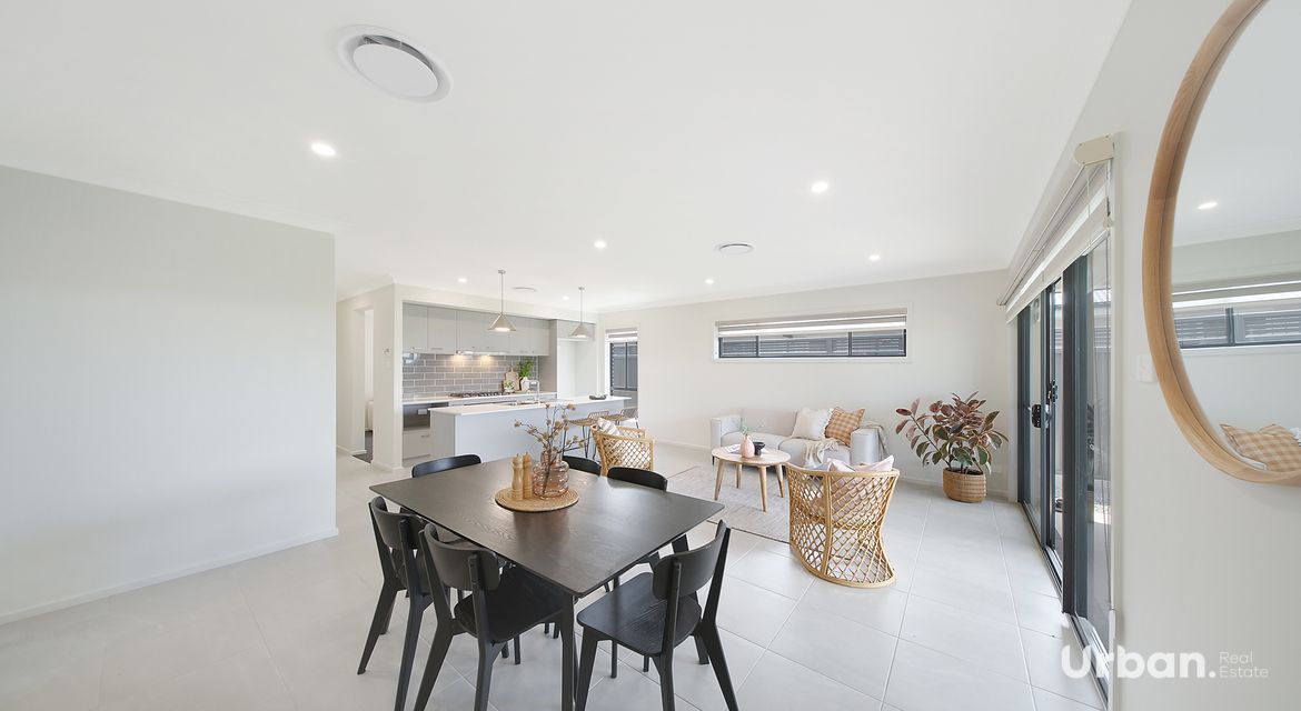 Bellbird 68 Abbotsford Street