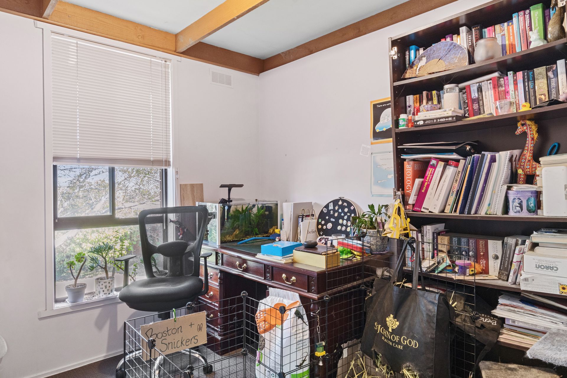 4/18a Drechsler Street, Flora Hill, Flora Hill, Flora Hill - Thumbnail 7