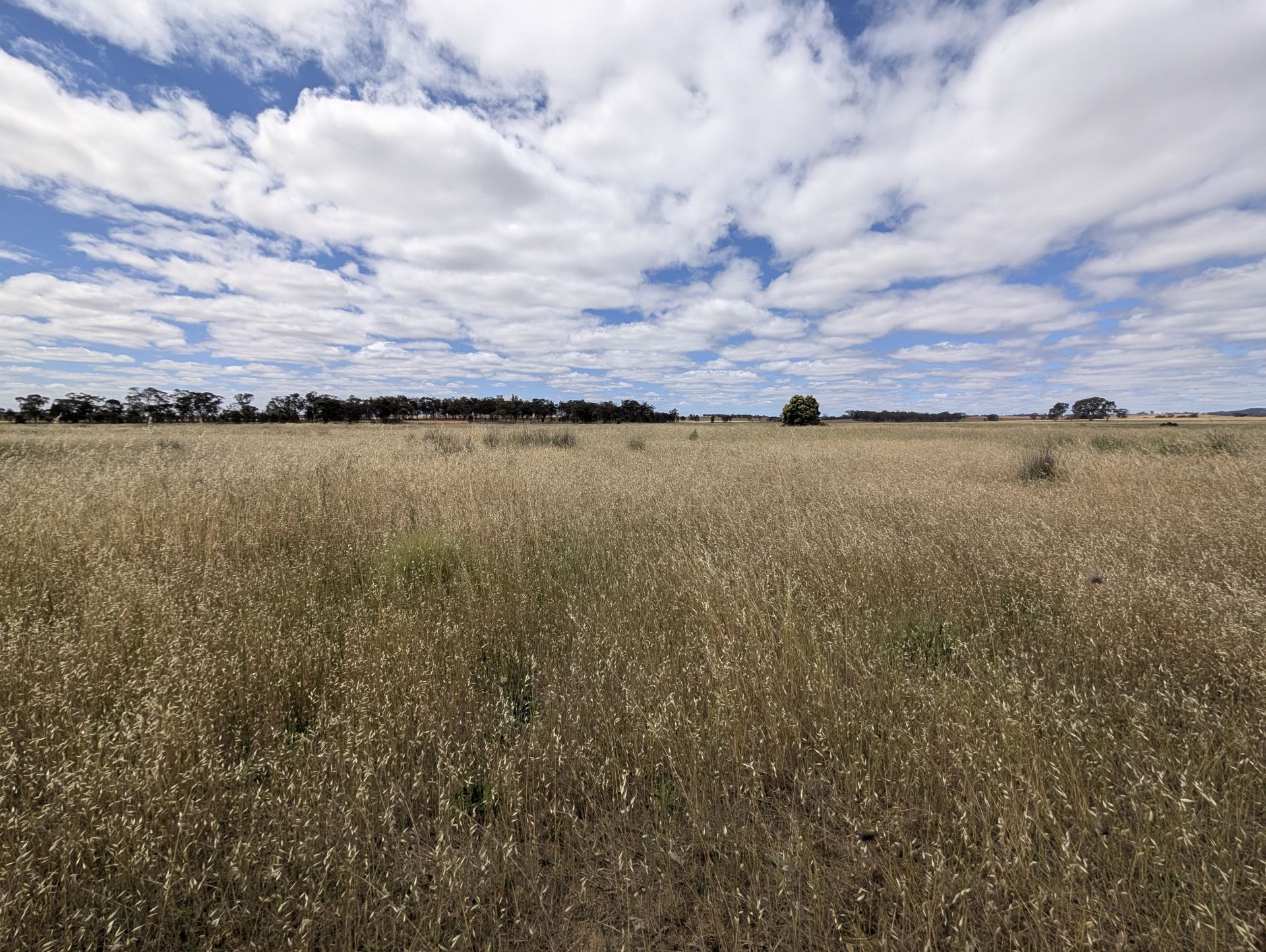 5a Logan-Bealiba Road, Cochranes Creek - Thumbnail 4