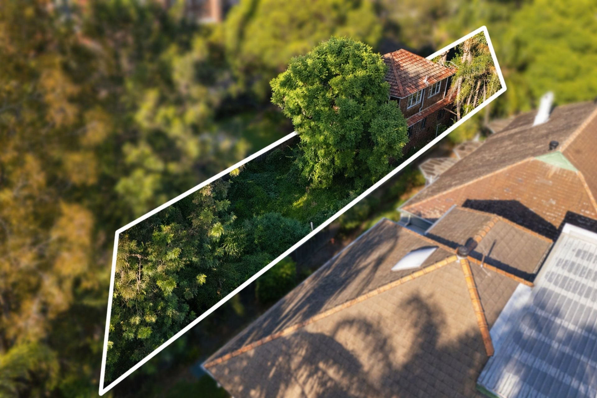 62 Homebush Road Strathfield NSW, Strathfield - Thumbnail 4