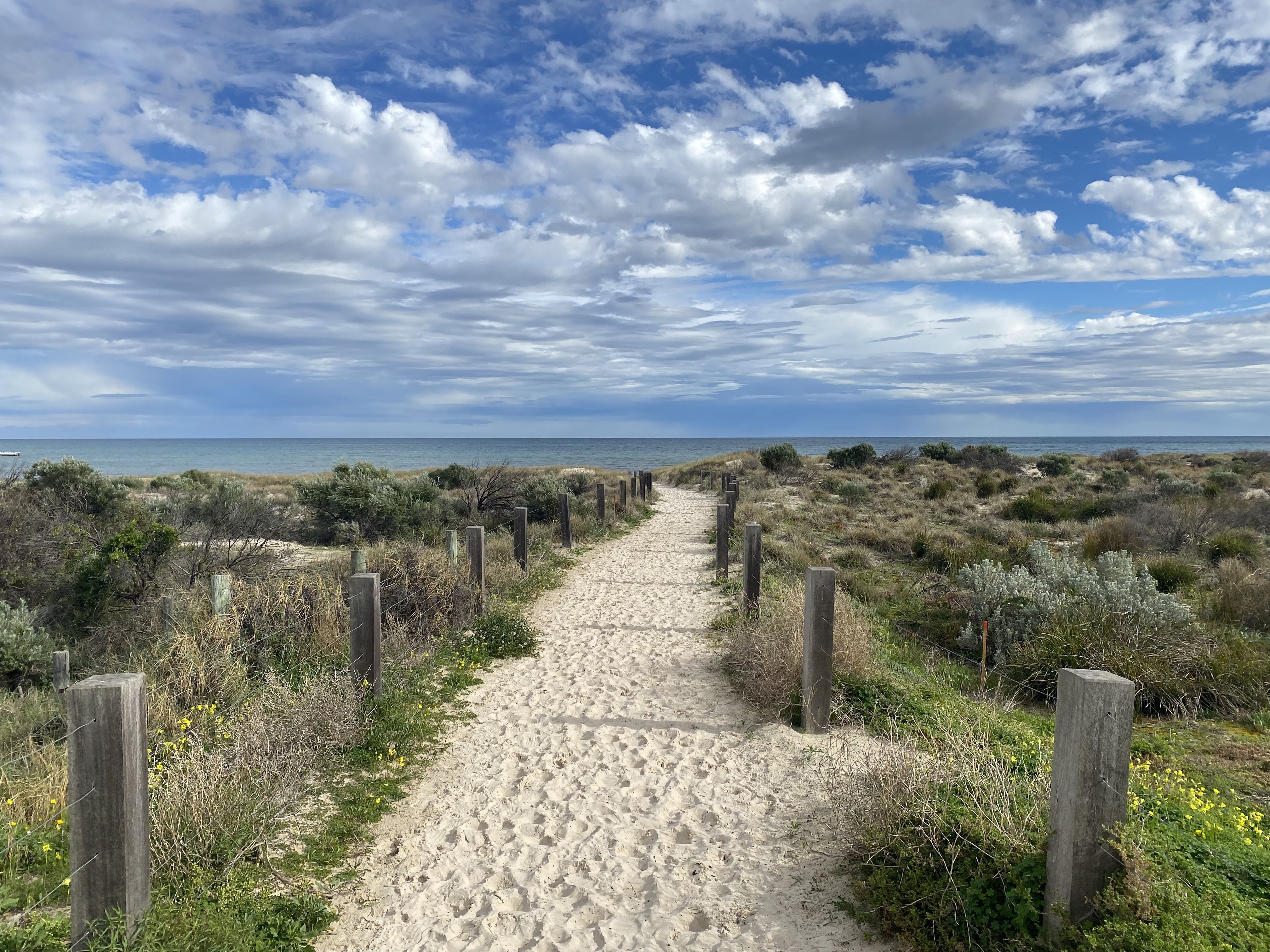 3 Foot Avenue, Seaton SA 5023