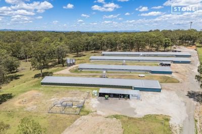 Nelsons Plains 667 Seaham Road