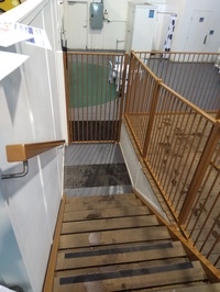 Make Money by Swimming.