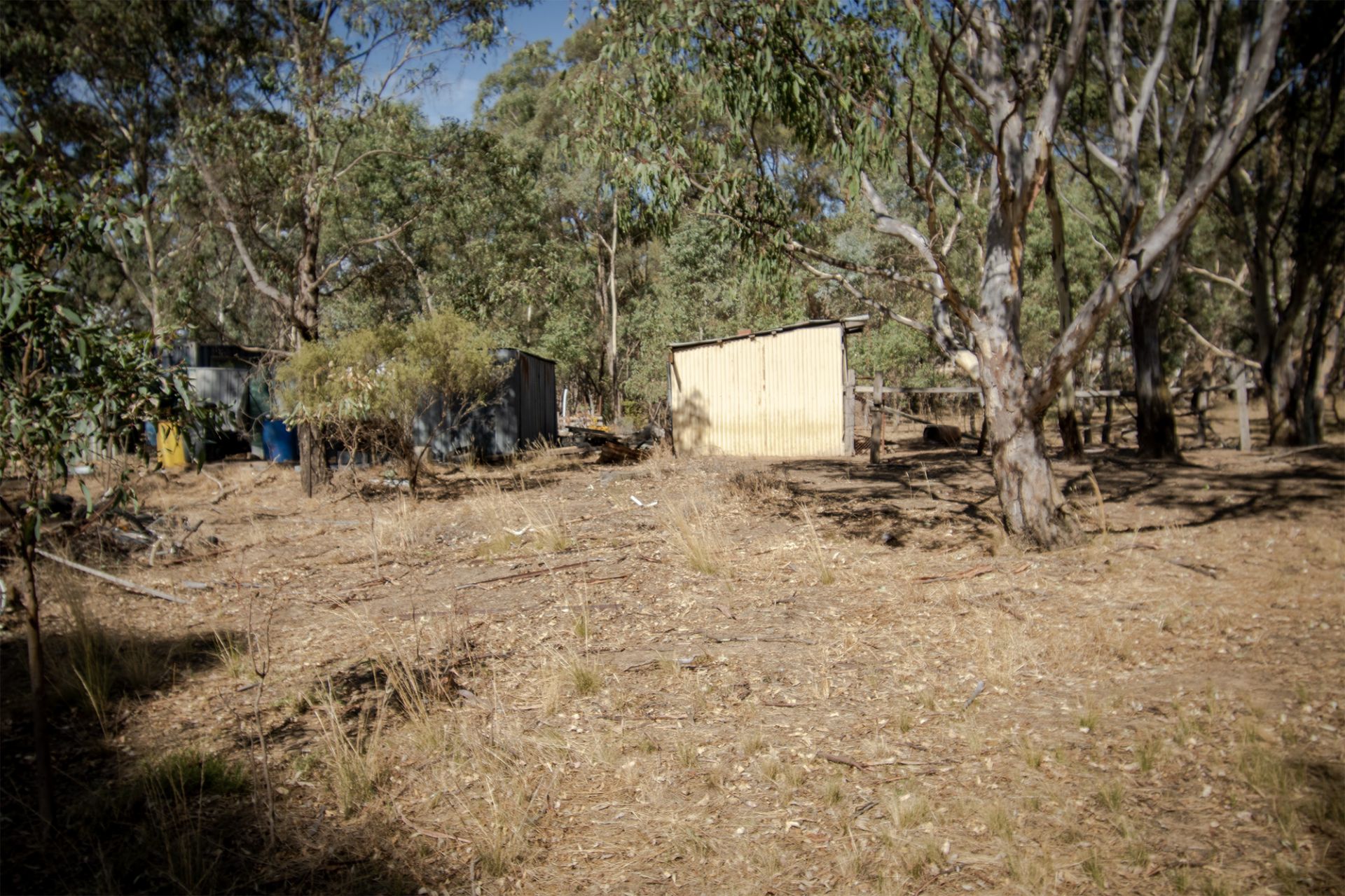 1207 Dunolly- Timor Road, Timor - Thumbnail 8