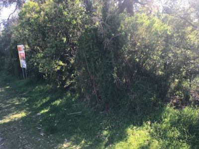 75 Condon Crescent, Venus Bay VIC, Venus Bay - Thumbnail 4