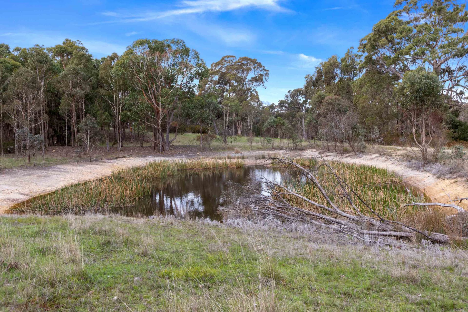 529 Beaufort-Lexton Road, Beaufort, Beaufort - Thumbnail 4