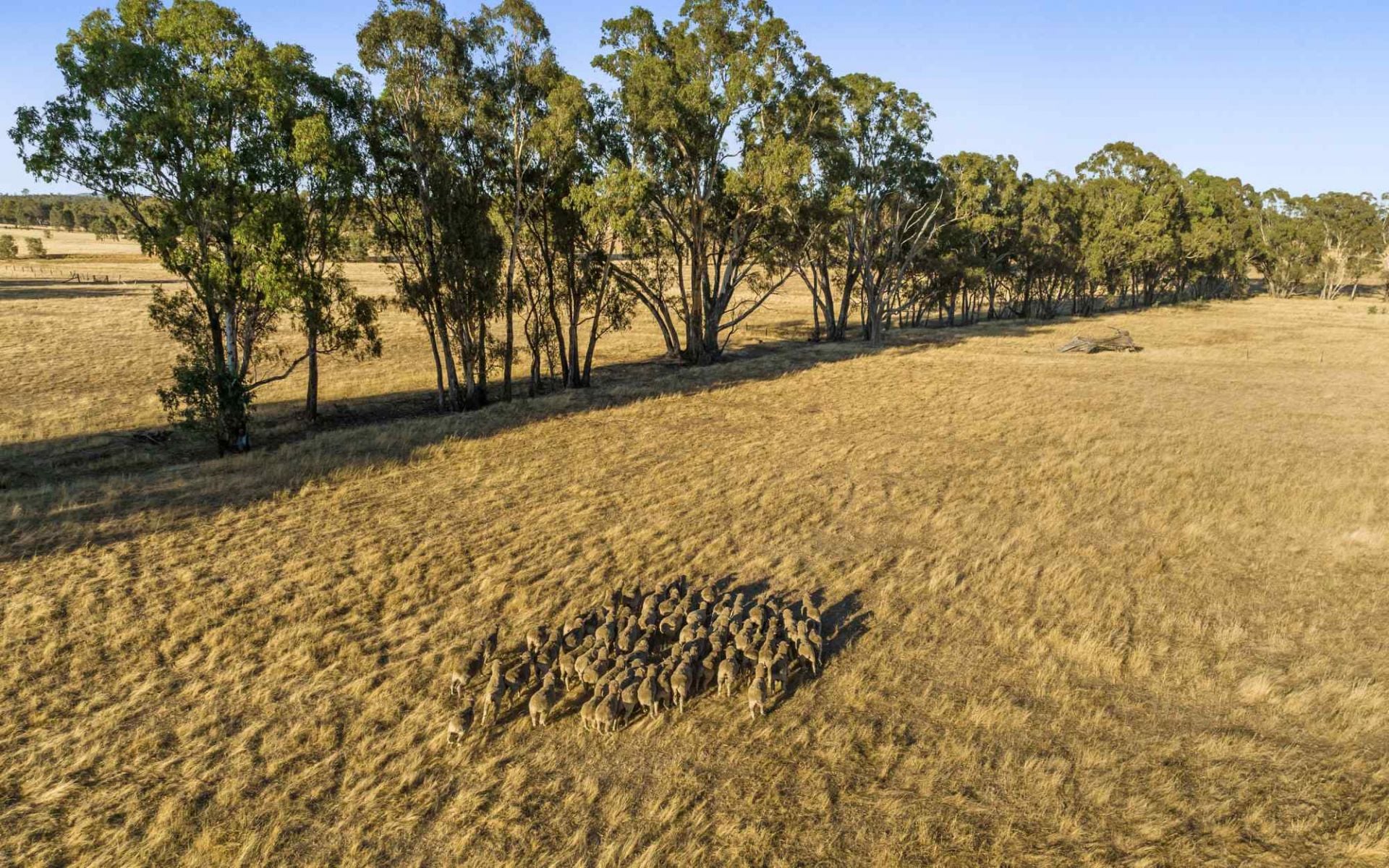 1A/ Castles Road, Axe Creek, Axe Creek, Axe Creek - Image 1