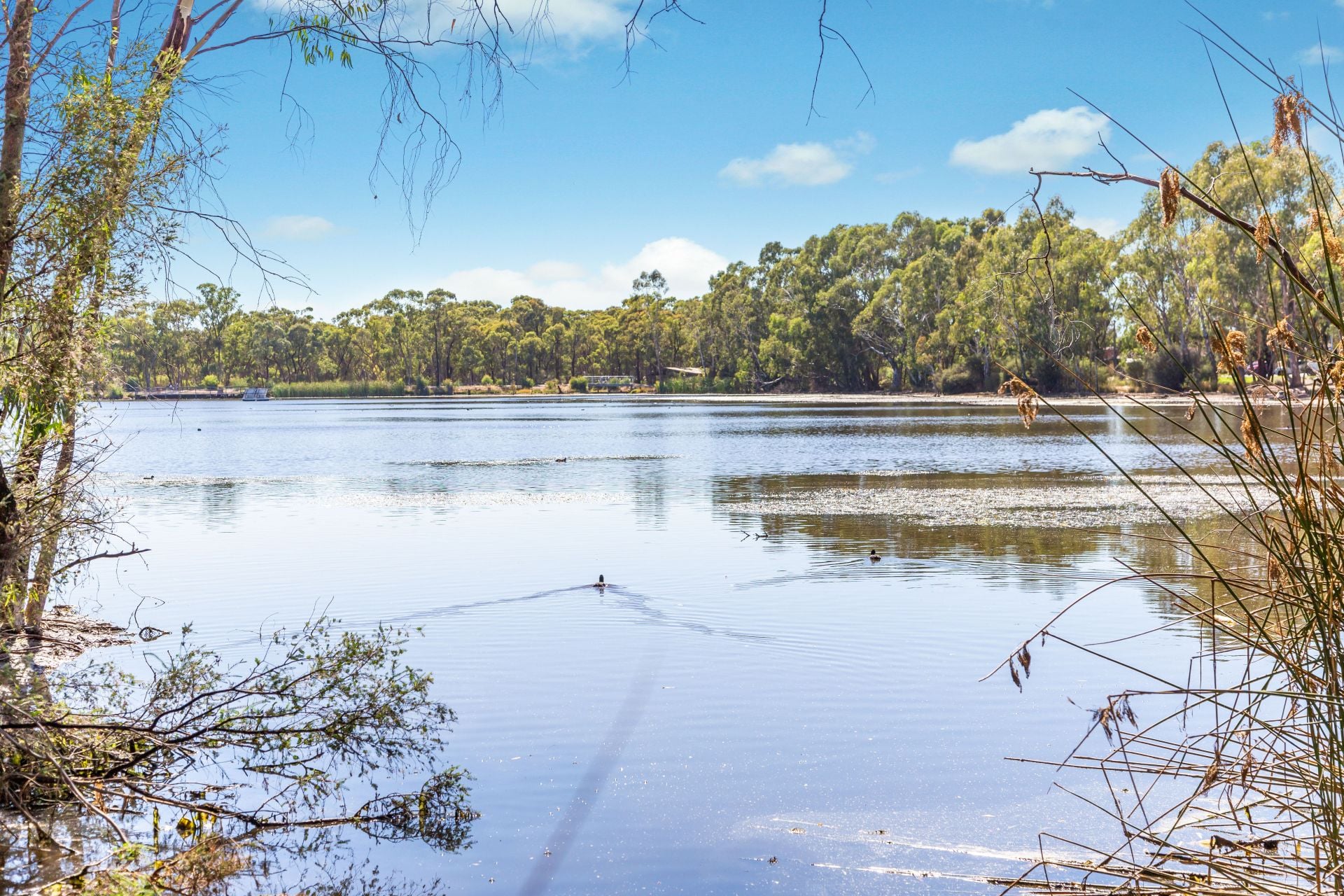 12 Lillie Lane, Strathdale, Strathdale, Strathdale - Thumbnail 8