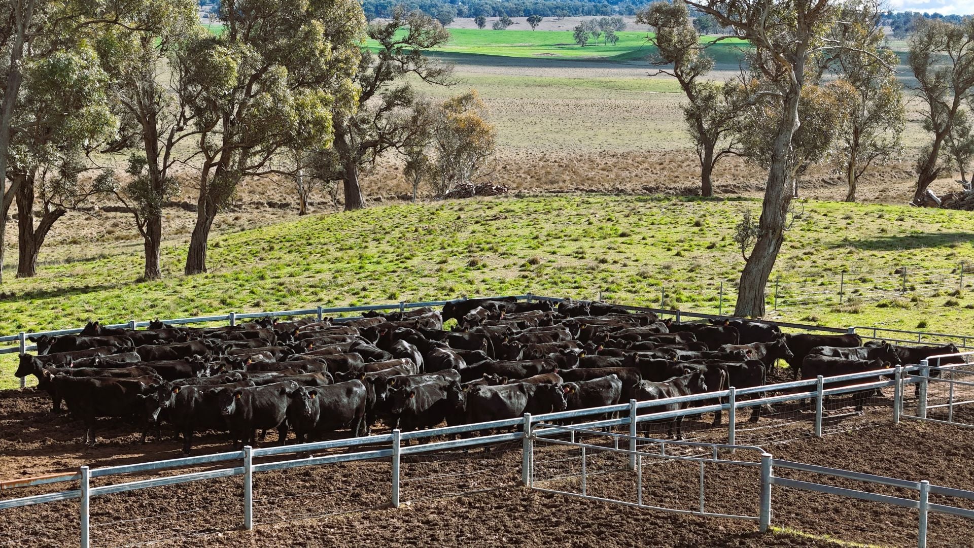 91 Gill Road, Walcha, Walcha - Thumbnail 4