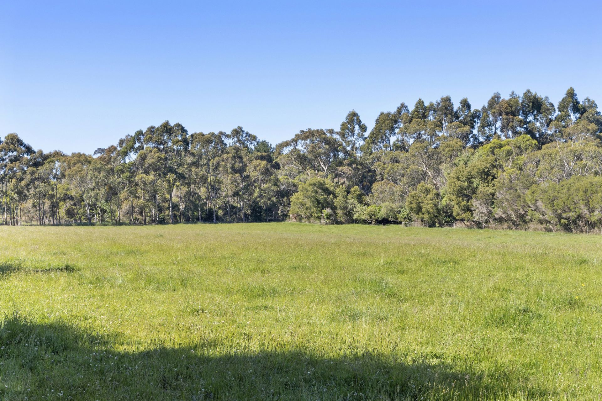 51 Stanleys Road, Merricks, Merricks - Thumbnail 7