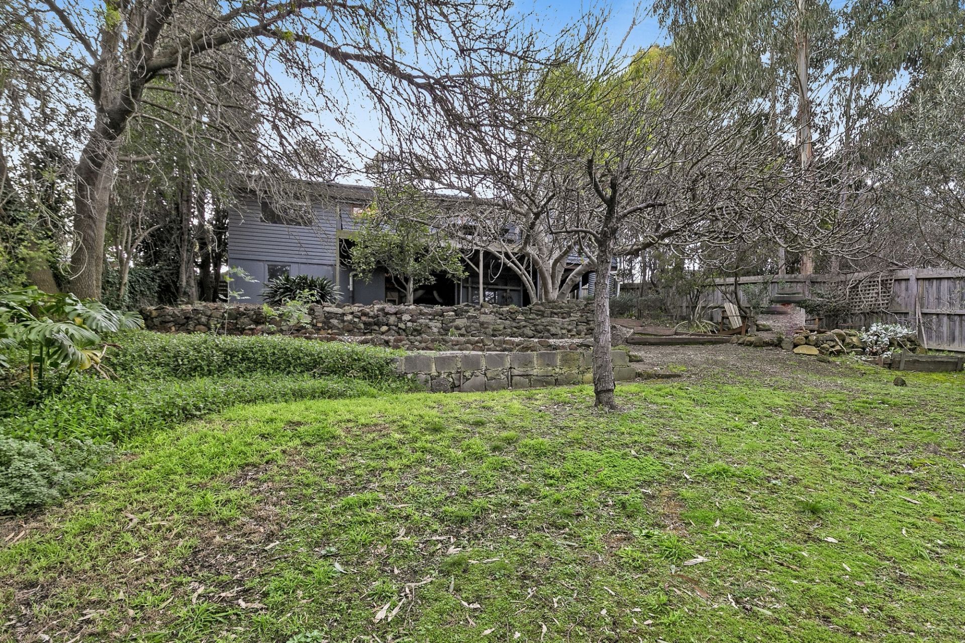55 Alleyne Ave Torquay VIC, Torquay - Thumbnail 6