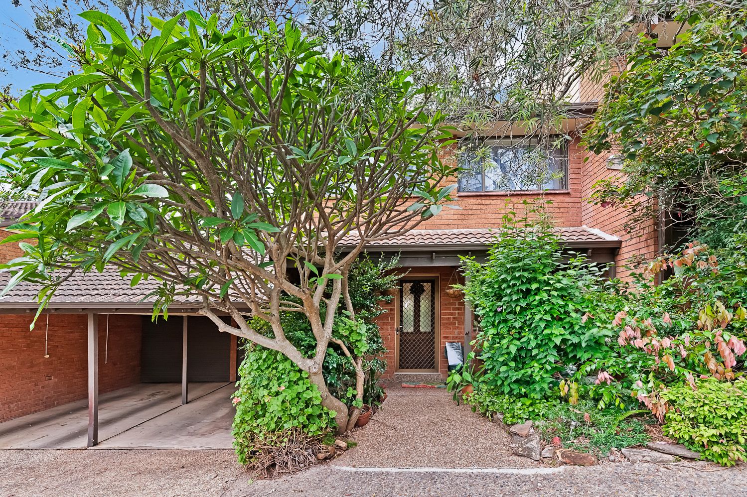 18/10-14 Loch Maree Avenue, Thornleigh, Thornleigh - Thumbnail 3