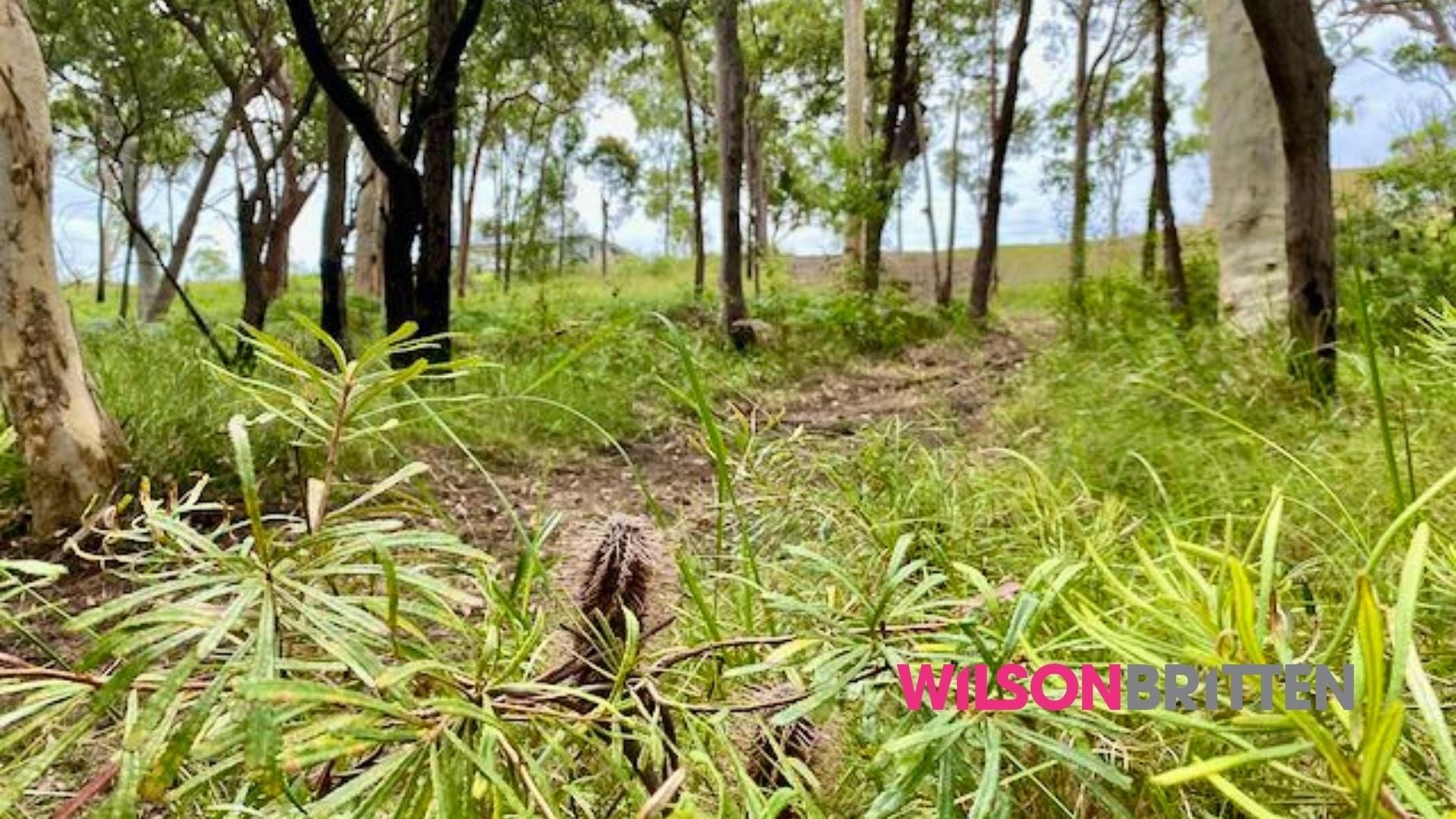 2/8 Lake Road BALCOLYN NSW, Balcolyn - Thumbnail 5