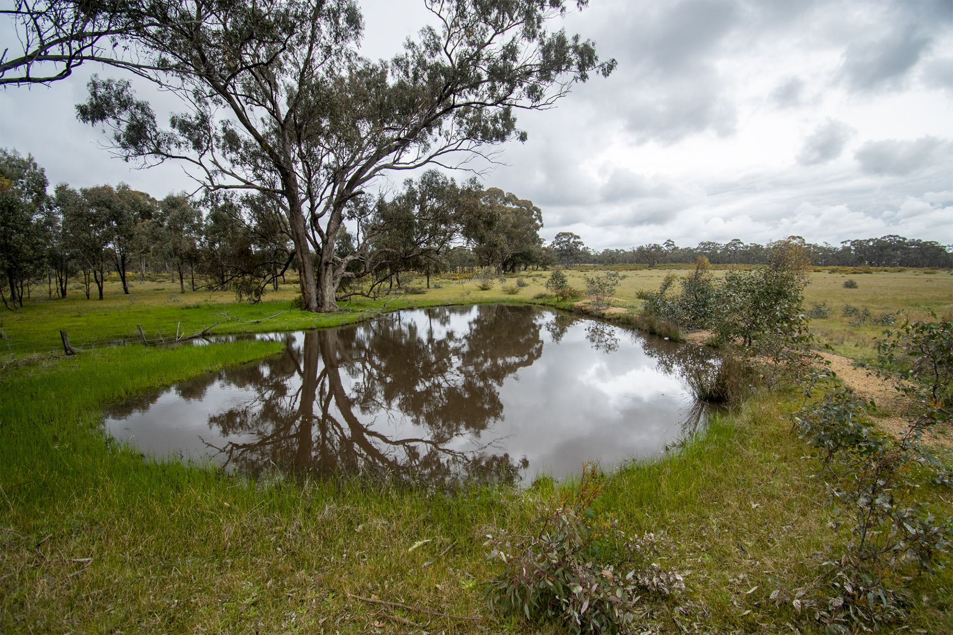 29/123 Logan Road, Alma - Thumbnail 8