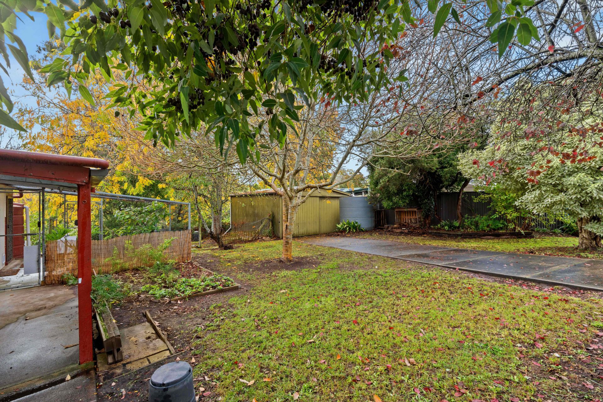 3 Garrod Place, Stirling SA, Stirling - Thumbnail 3