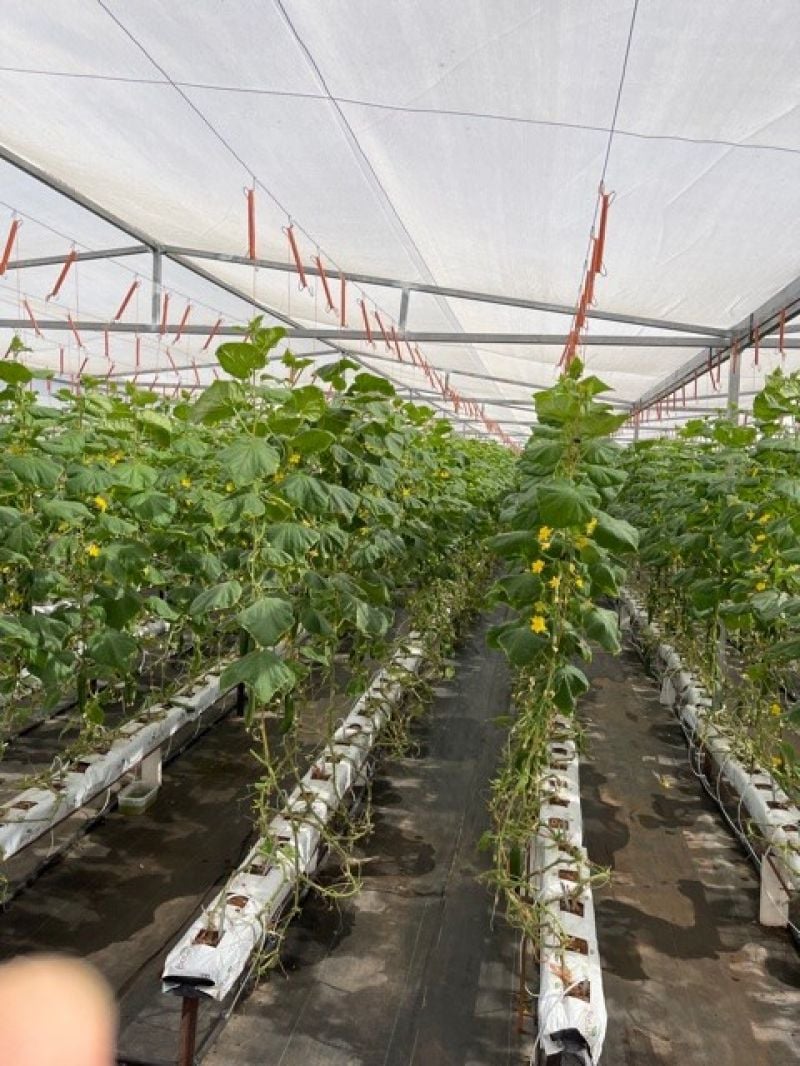 Marrakai For Sale by Farmbuy.com - image 10
