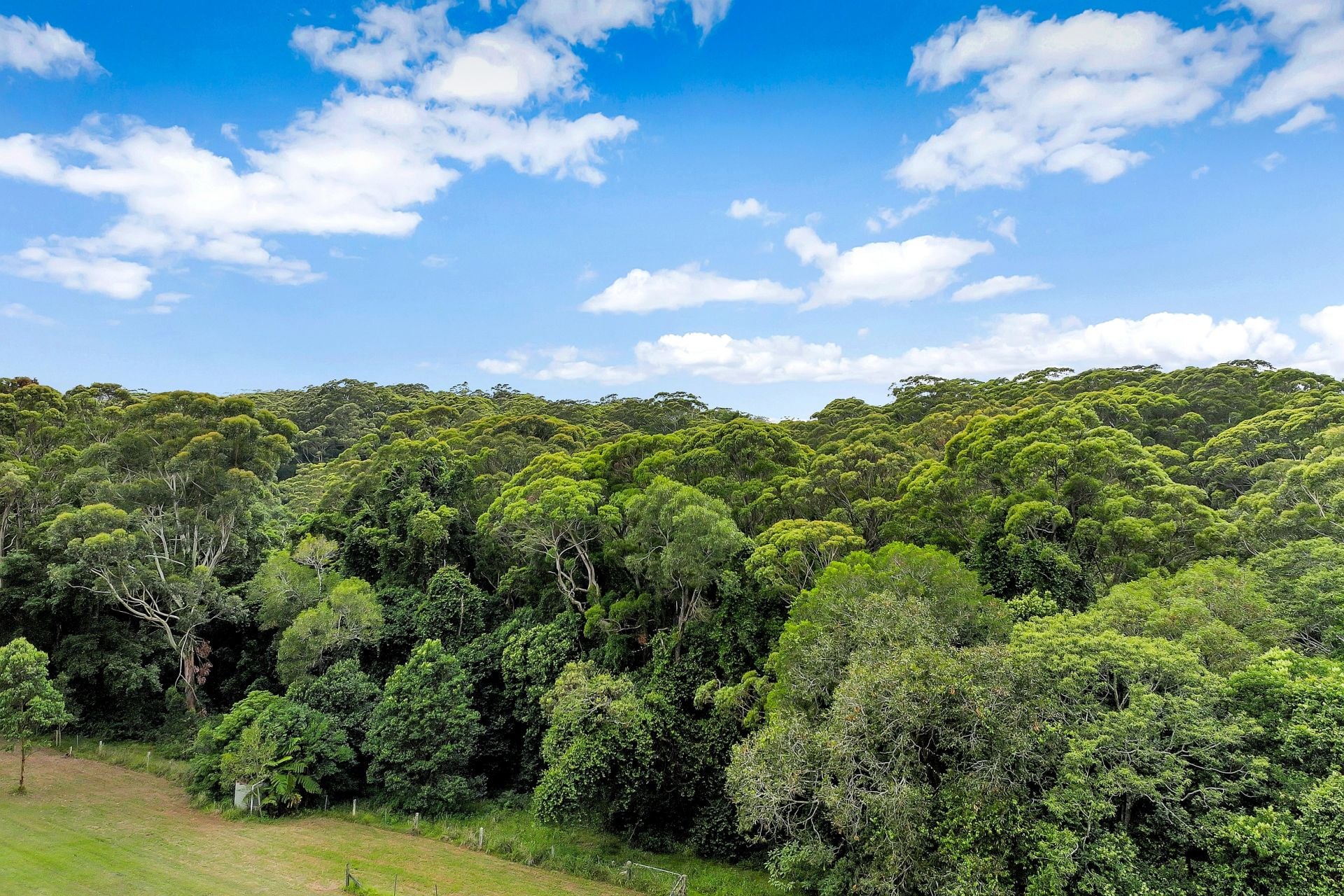 23 Townsend Avenue, Avoca Beach, Avoca Beach - Thumbnail 5
