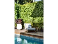 49 Swinburne Avenue, Hawthorn, Hawthorn - Thumbnail 8