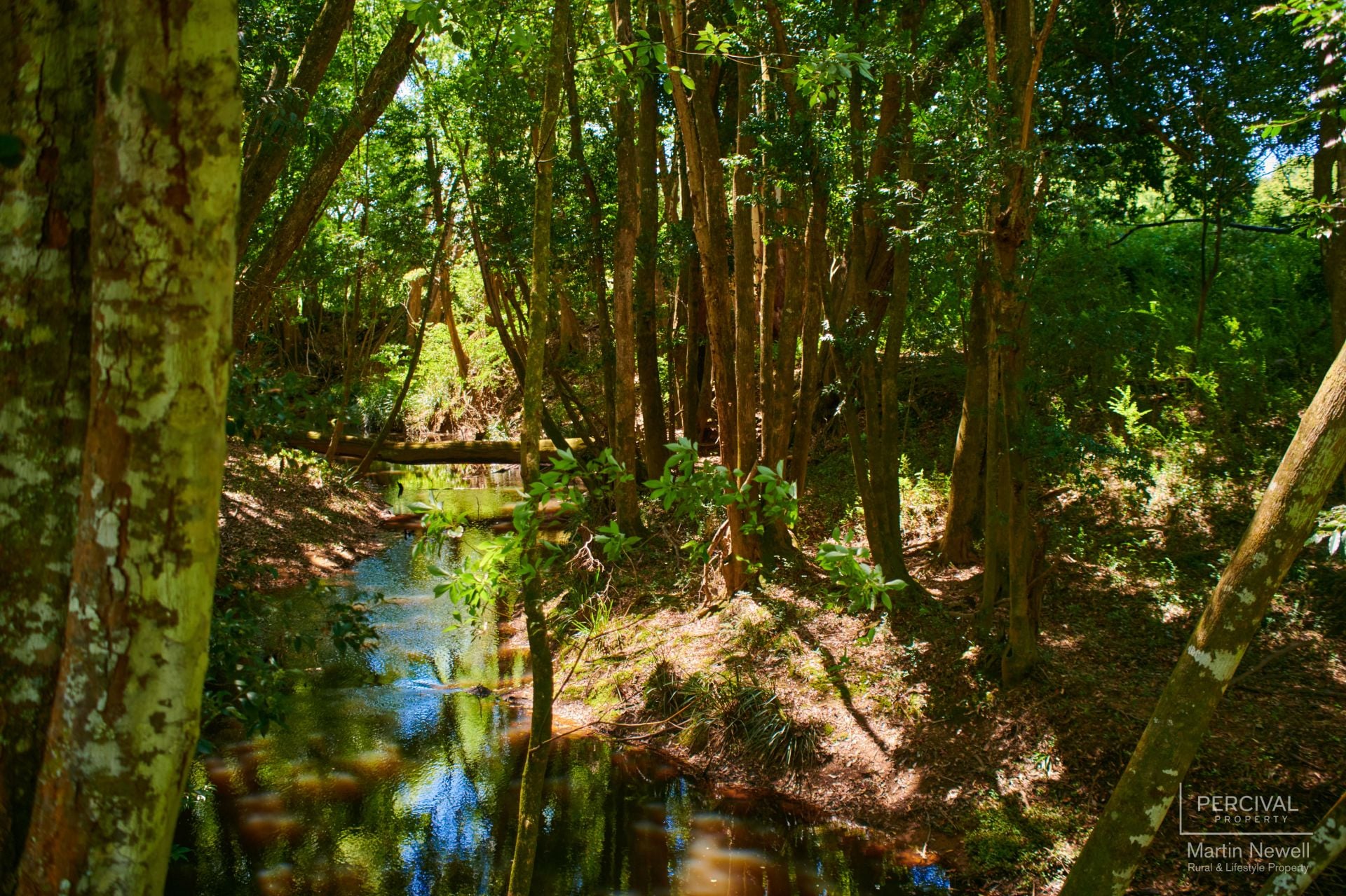 317 Lorne Road Upsalls Creek NSW, Upsalls Creek - Thumbnail 4