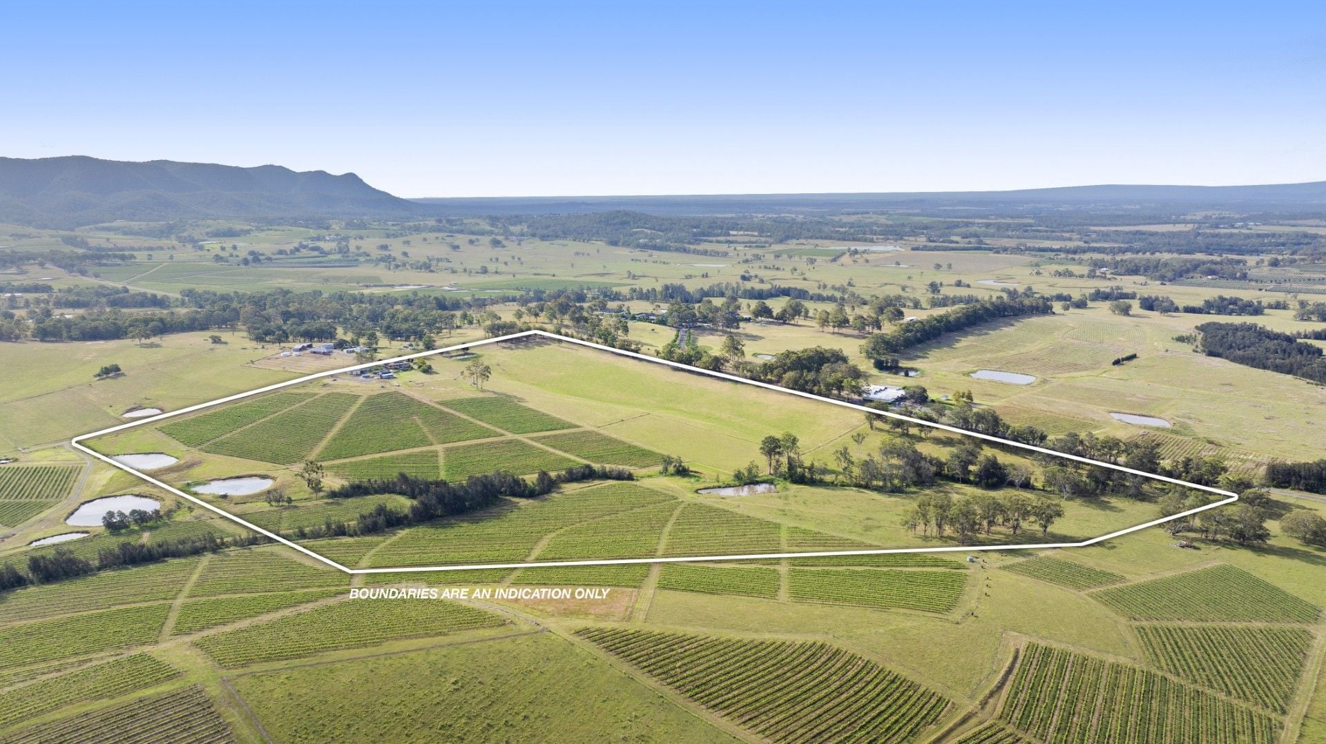 353 Oakey Creek Road, Pokolbin, Pokolbin - Thumbnail 3
