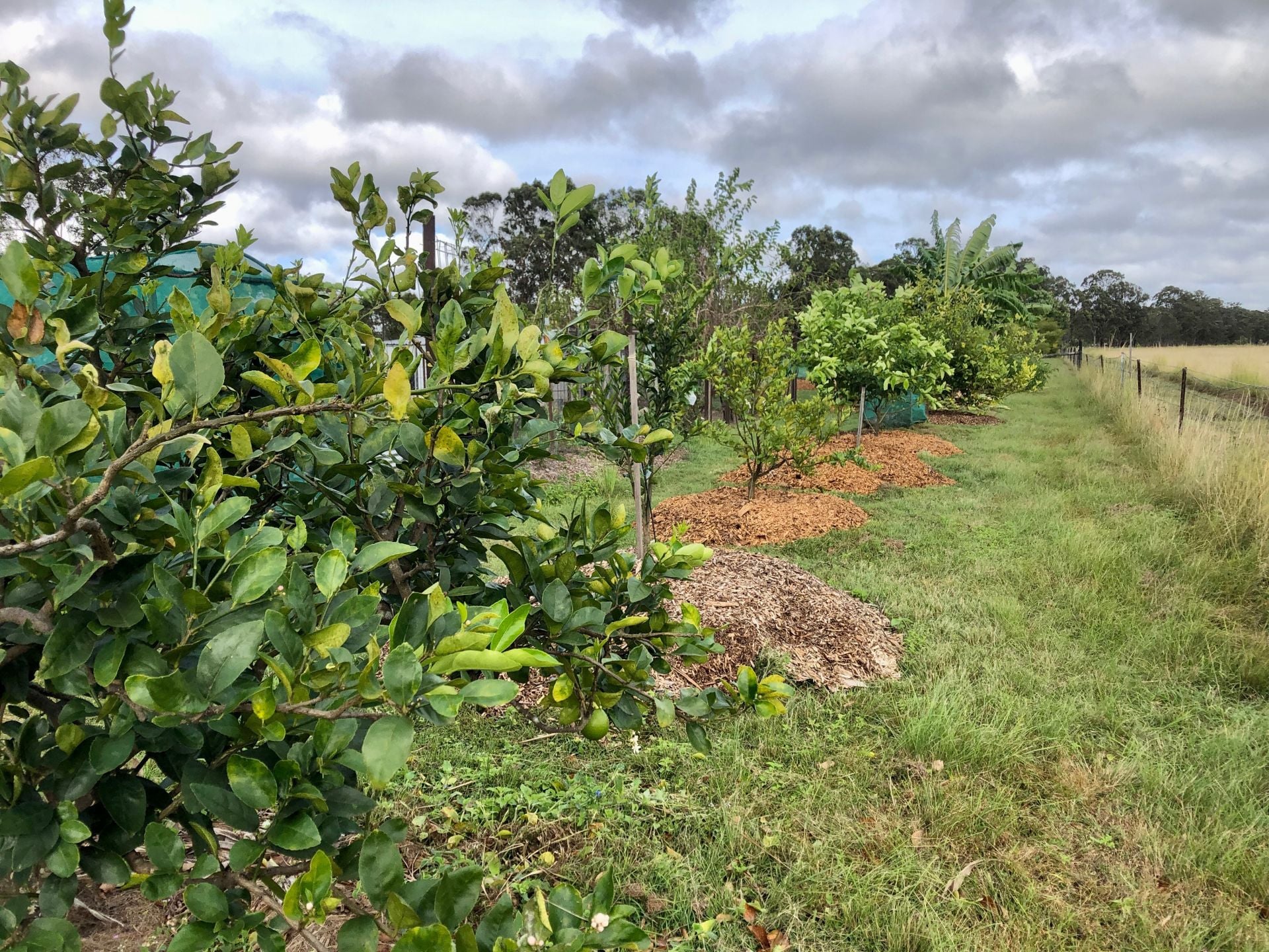 84 Gordon Earl Drive, Millstream For Sale by Farmbuy.com - image 30