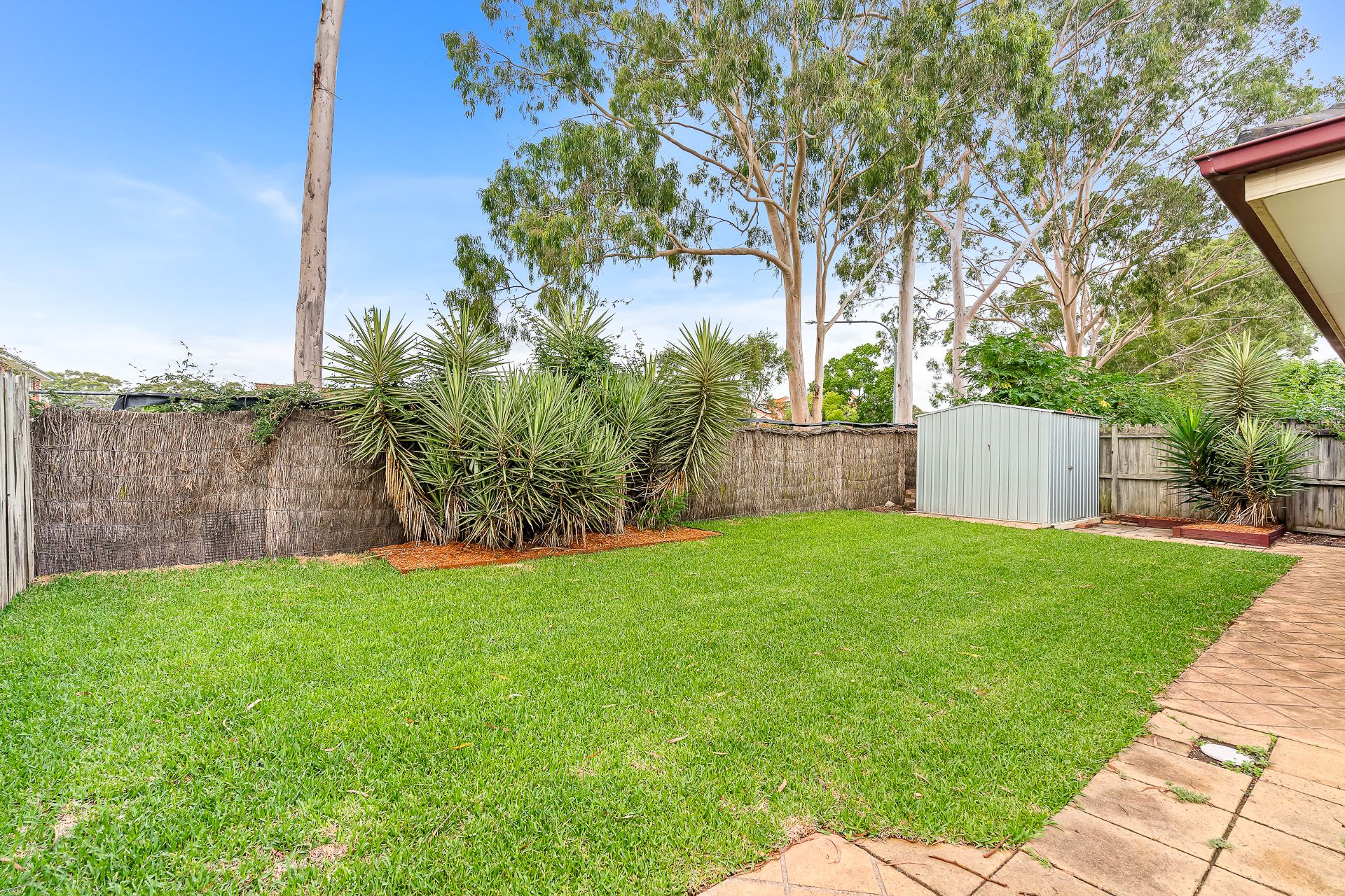 25 Corryton Court, Wattle Grove NSW, Wattle Grove - Thumbnail 4