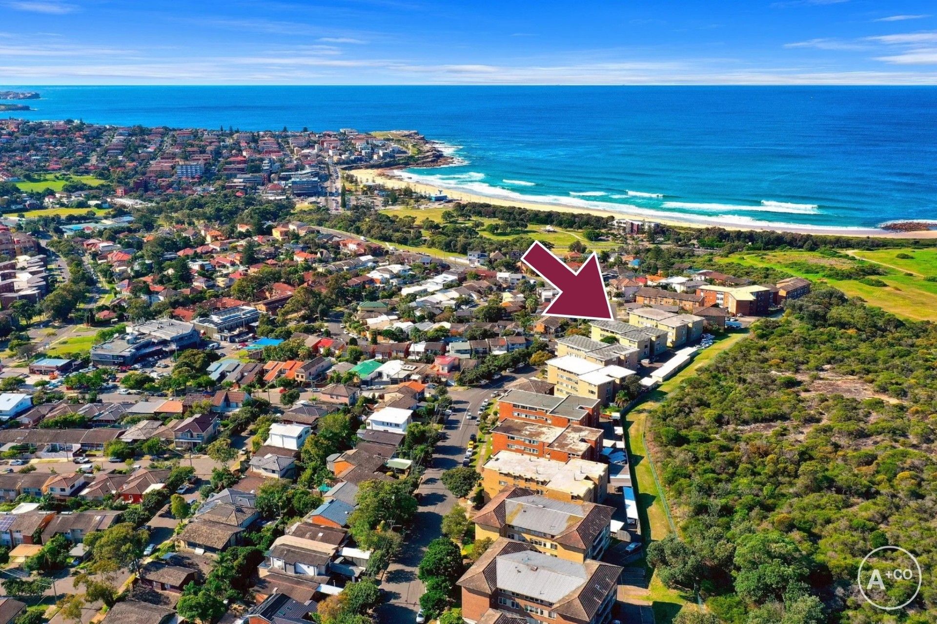 10/59 Broome Street, Maroubra, Maroubra - Thumbnail 2