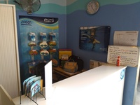 Make Money by Swimming.