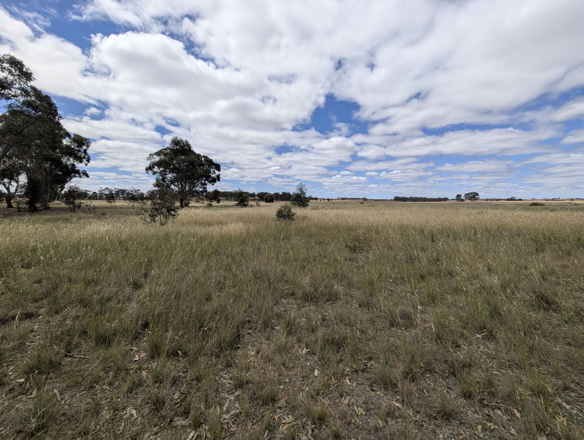5a Logan-Bealiba Road, Cochranes Creek - Thumbnail 3